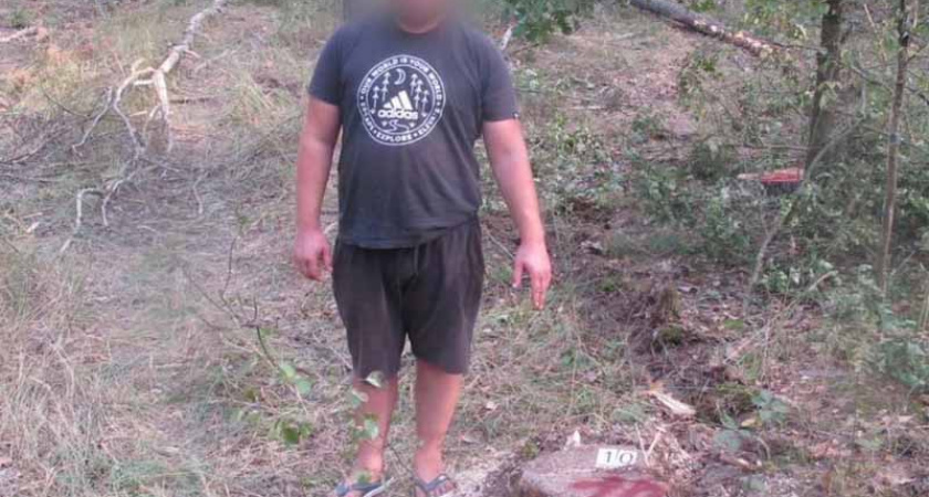 Десять сосен обошлись брянскому предпринимателю в миллион рублей и уголовное дело