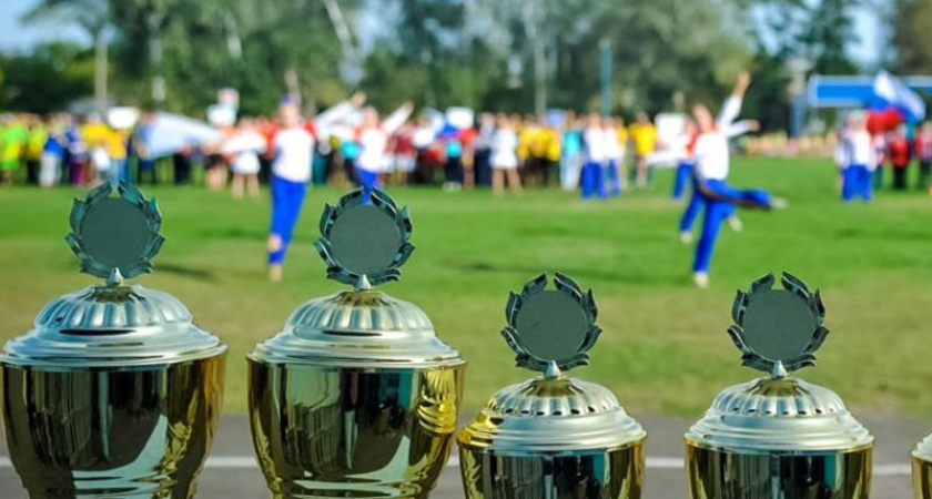 Под Брянском пройдут сельские спортивные игры. С троеборьем дояров, косарей и механизаторов