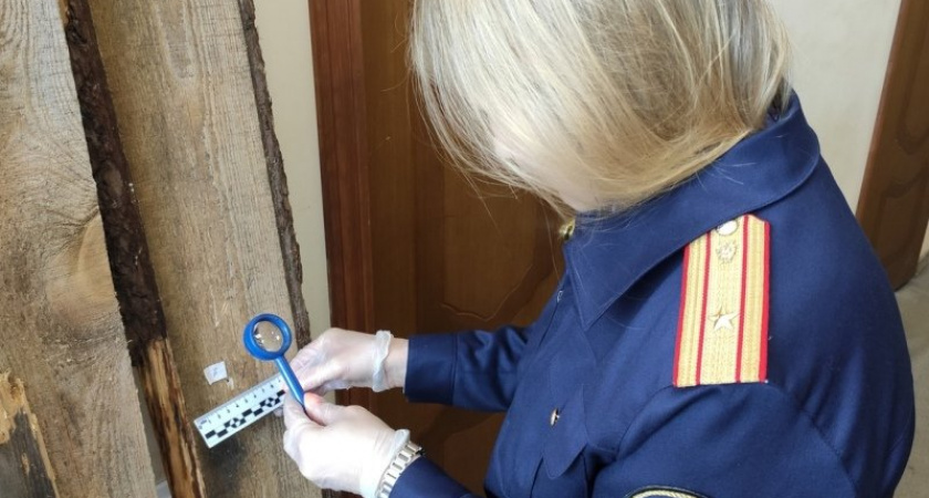 В Брянске задержан мужчина, выстреливший из ружья по подросткам