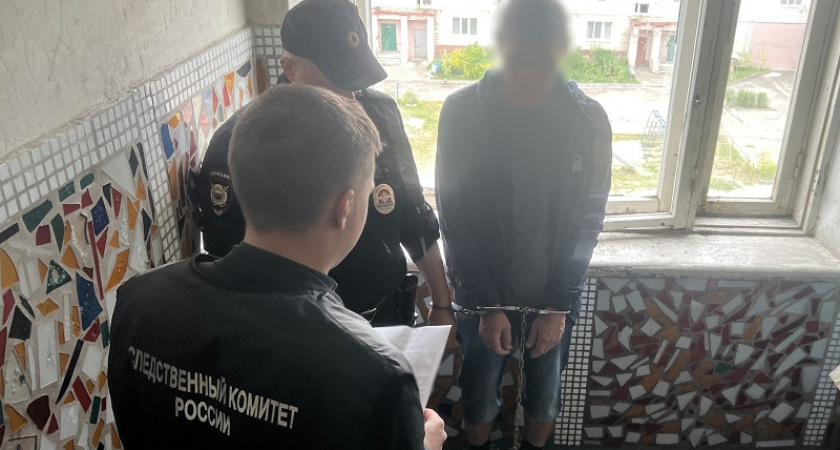 Дело об убийстве монтировкой в Клинцах дошло до суда