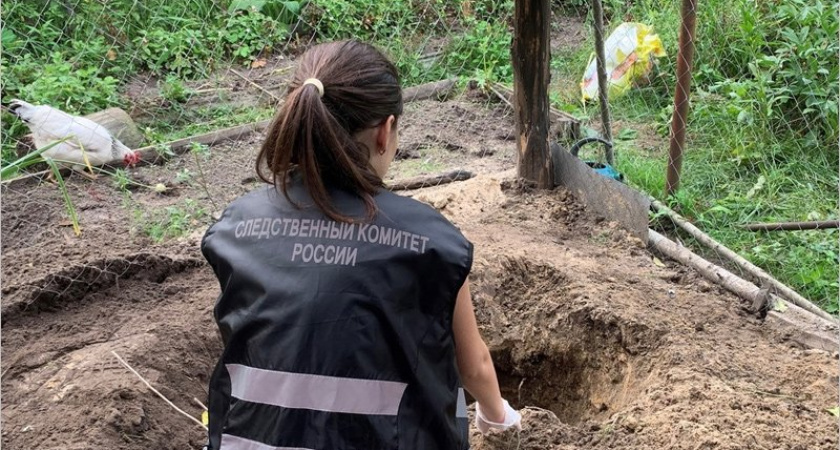 В посёлке под Брянском сын-изувер убил мать и закопал её на садовом участке