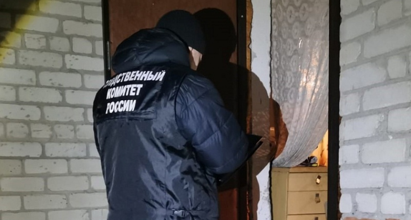 Причиной пожара в брянской деревне, унесшего две человеческих жизни, стал неисправный электрообогреватель - следствие