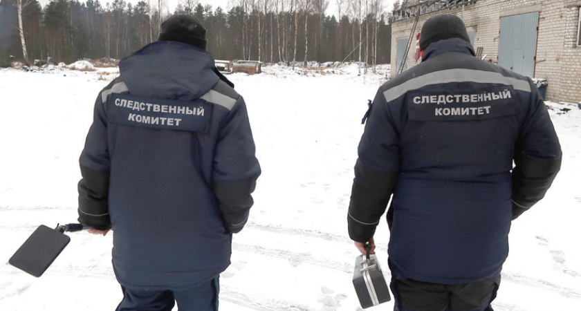 Под Трубчевском пьяная мать одним ударом ножа убила 21-летнего сына
