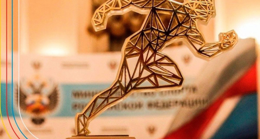 Брянские спортивные учреждения вошли в число финалистов Национальной спортивной премии