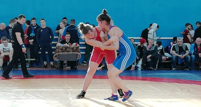Брянские спортсмены показали достойные результаты на домашних всероссийских соревнованиях по спортивной борьбе