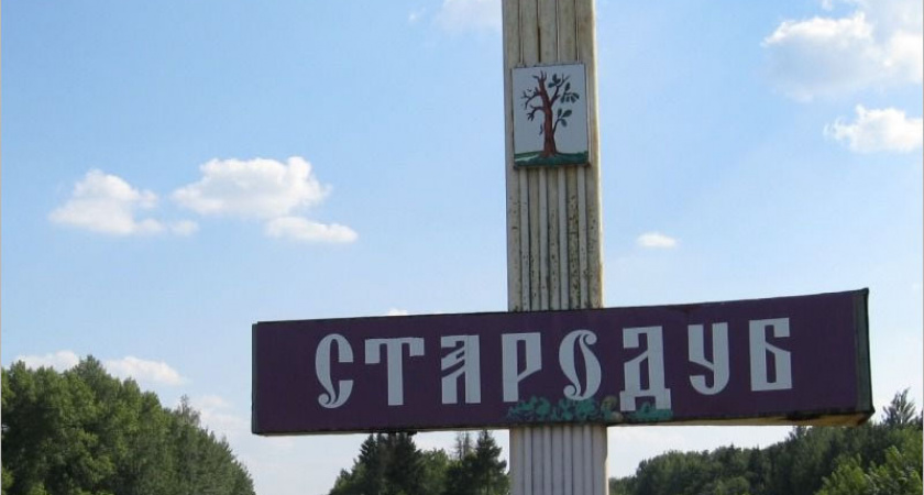Стародуб фактически теряет статус райцентра и включается в единый «муниципальный округ»