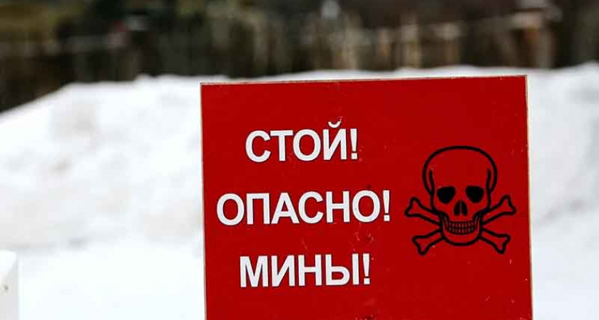 Мирный житель подорвался на мине в приграничной зоне Брянской области — губернатор