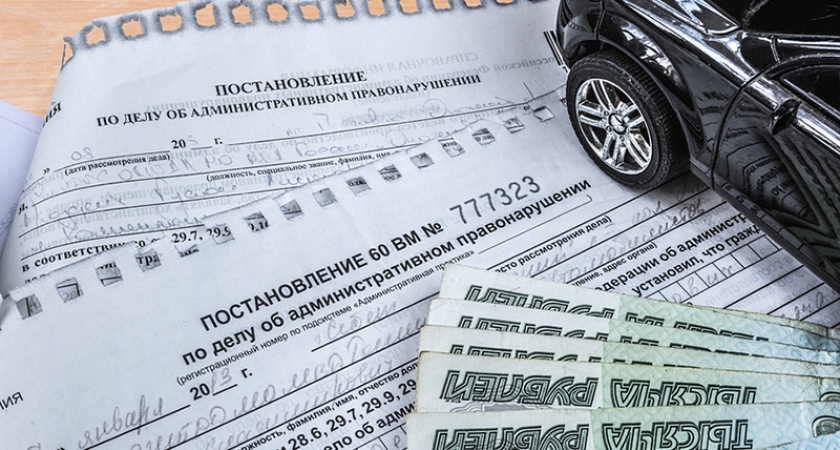 В Брянске проведён рейд против травяных палов, пять человек оштрафовано