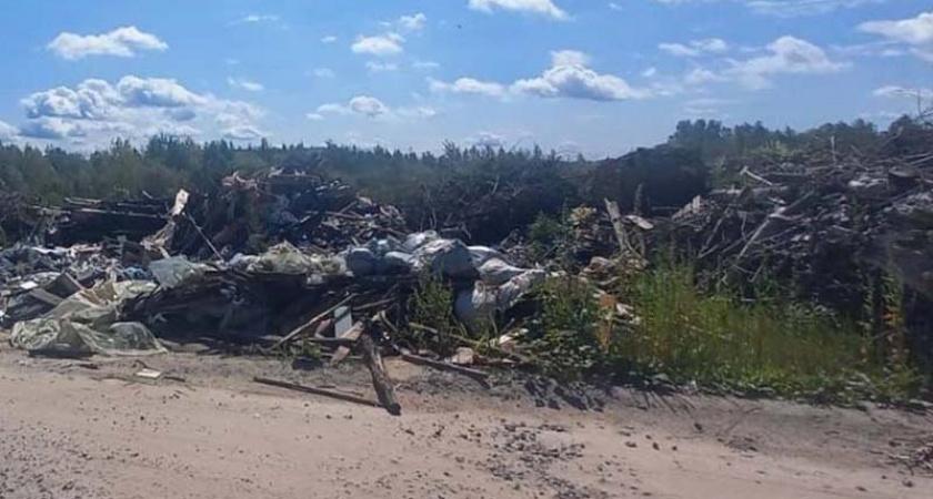 «Чистая страна»: в Брянской области до конца года ликвидируют четыре огромных свалки общей площадью 20 га