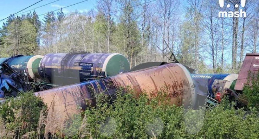 Железную дорогу в Брянской области подорвали два диверсанта — СМИ