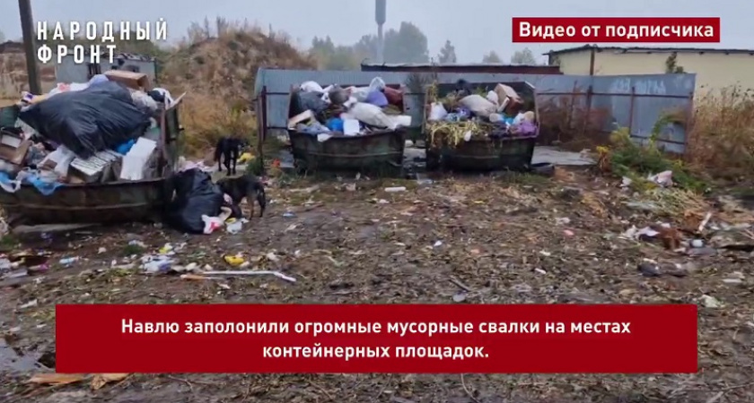 Прокуратуру попросили прокомментировать отсутствие вывоза мусора в Навле