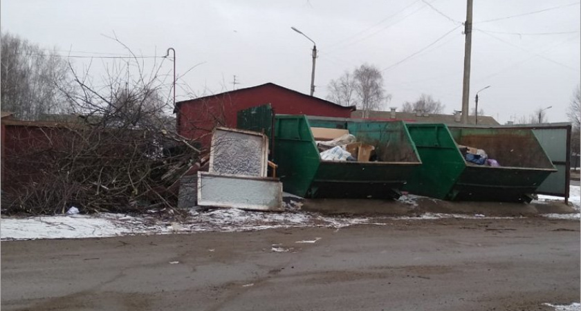 Брянские мусорщики отказались убирать ещё один вид отходов — древесные