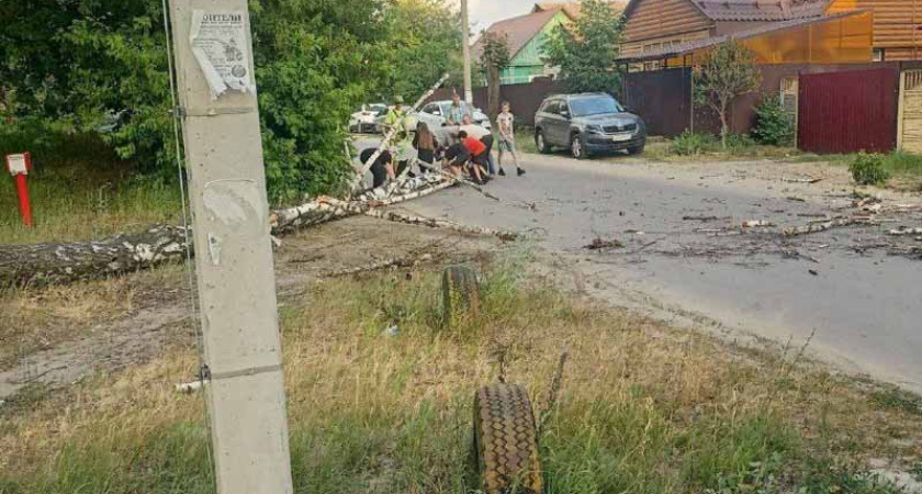 Пронёсшийся по Брянску ураганный ветер завалил несколько деревьев