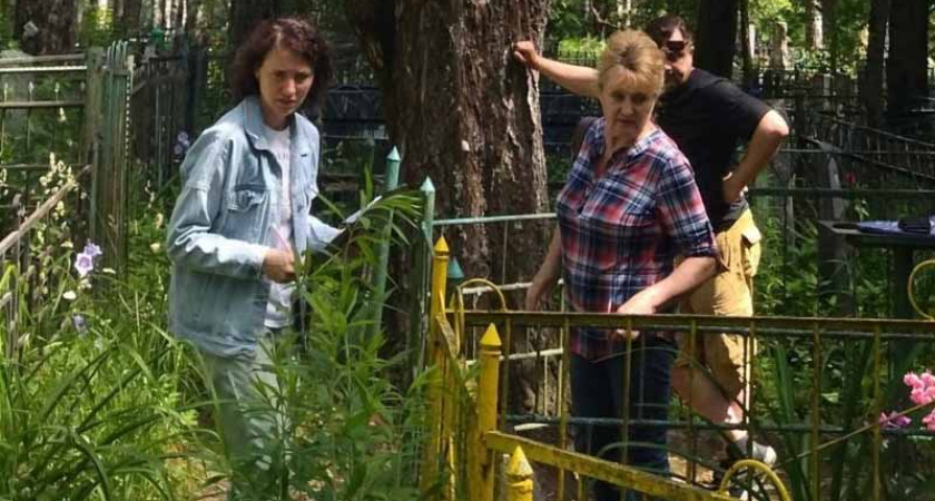 В Брянске начались обследования деревьев на валку или кронирование