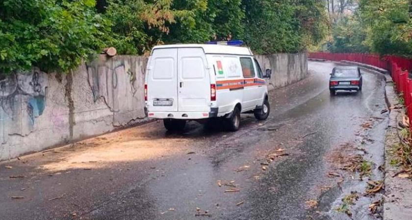 Упавшее дерево временно заблокировало улицу Арсенальскую в Брянске