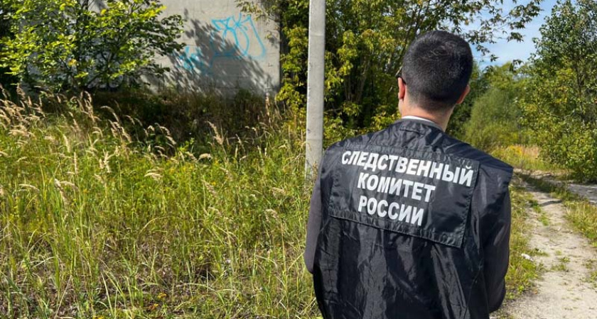 Жительница Брянска из ревности забила своего сожителя до смерти