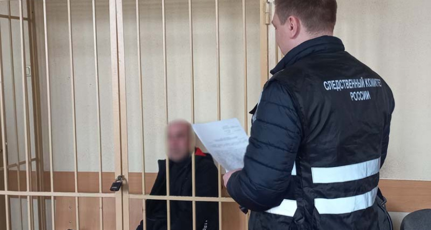 Брянский суд вынесет приговор жестокому убийце родной матери
