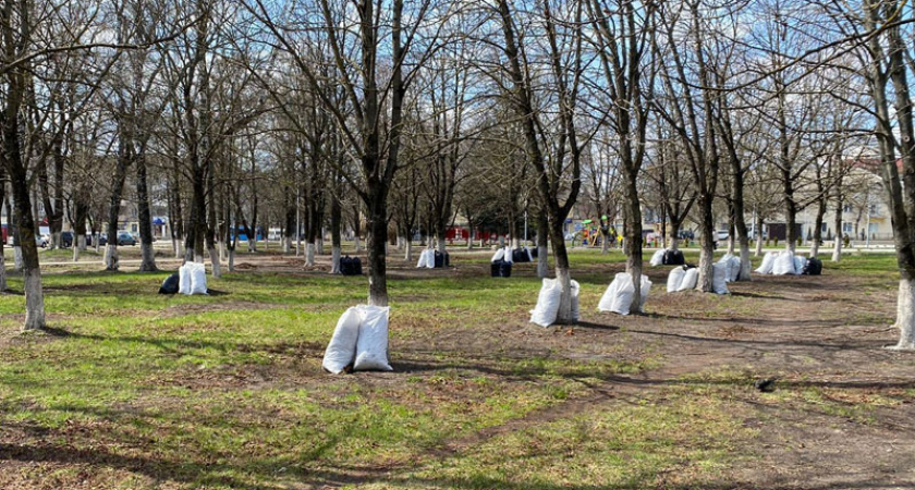 В Брянске после отмененного 16 апреля субботника провели «санитарную пятницу». С «подкормкой» сквера