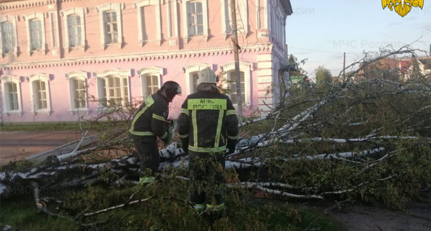В Брянской области из-за урагана без света остались 14 населенных пунктов в 4-х муниципалитетах — МЧС