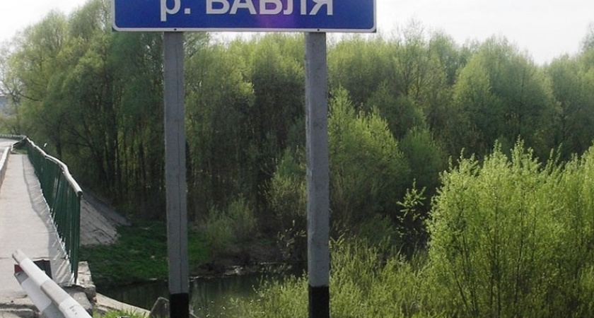 В Брянской области в 2022 году отремонтируют восемь мостов. Через реки, речки и ручьи