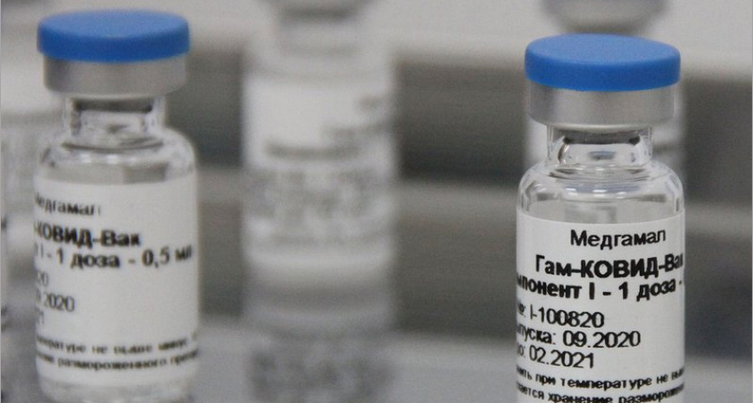 Власти объявили о начале массовой вакцинации от COVID-19 в Брянской области