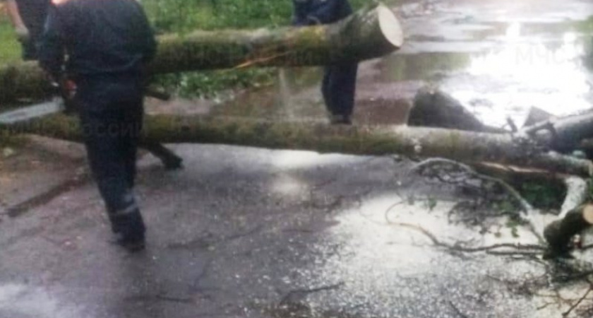 В Брянске за субботу выпала почти половина месячной нормы осадков