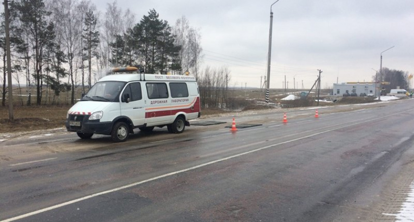Суземские и климовские пауэрлифтеры завоевали медали на чемпионате России
