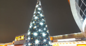 Новогоднее настроение в Брянске началось в ноябре – установлены первые ёлки