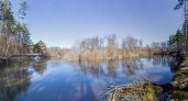 Уровень воды в Десне за десять дней поднялся на полтора метра