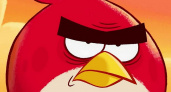 Angry Birds требуют от депутата брянской облдумы $24 000