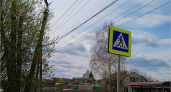 В брянском посёлке Большое Полпино погибают аисты