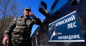 «Брянский лес» в день 35-летия подводит промежуточные итоги восстановления популяций медведя и зубра