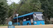 Штормовой ветер лишил Брянск одного синего автобуса