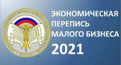 В экономической переписи малого бизнеса отметились 2,7 млн. ИП и почти 2 млн. микропредприятий