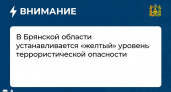В Брянской области установлен «жёлтый» уровень террористической угрозы. Всем необходимо ходить с паспортом