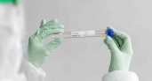 Суточная заболеваемость коронавирусом в Брянской области: выздоровевших больше, чем заболевших