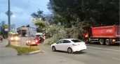 В ДТП на улице Брянска пострадало придорожное дерево