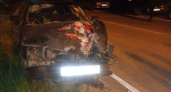 Под Карачевом 18-летние молодые люди оказались в кустах. На Audi 80
