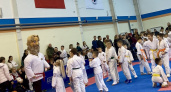День каратэ прошёл в брянском Дворце единоборств. При партнёрстве напитков «Брянскпиво»