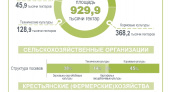 В Брянской области сократились площади зерновых и на 40% выросли посевные площади технических культур