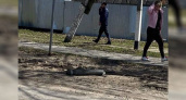 Местные жители сообщают об очередном обстреле Климово Брянской области