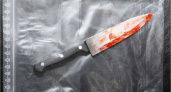 Мать, зарезавшая сына, 10 лет отсидит  в колонии – Брянский облсуд отклонил её апелляцию