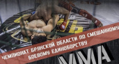 «Брянские волки» стали первыми на домашнем ММА-чемпионате