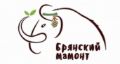 Фестиваль «Брянский мамонт» отменён третий раз подряд