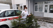 «Ёлочка – врачам»: брянские лесники привезут в больницы больше тысячи новогодних ёлок и сосен