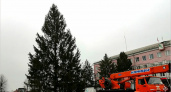 В Новозыбкове празднично утилизировали одну из обречённых елей на главной площади