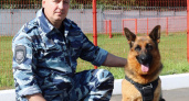 Более 100 преступлений с начала года в Брянской области «раскрыли» служебные собаки