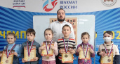 В Брянске завершился региональный турнир среди самых юных шахматистов