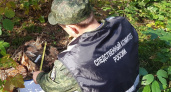 В брянский суд передано дело «чёрного лесоруба» с лицензией на тёщу