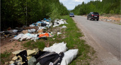 У жителей России предложили конфисковывать машины за незаконнный выброс мусора